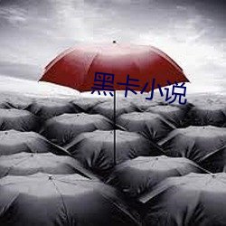 黑(hēi)卡小(xiǎo)说