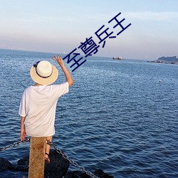至尊兵王