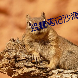 盗(盜)墓笔记沙海