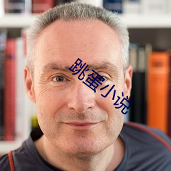 跳蛋小说