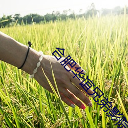 合肥华谊兄弟影院