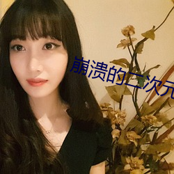 崩溃的二次(次)元