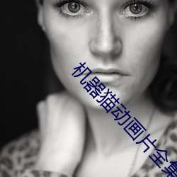 机(jī)器(qì)猫(māo)动画片全集免费观看