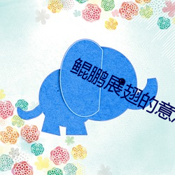 鲲鵬展翅的意思