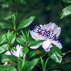 美女换泳衣 （皇天上帝）