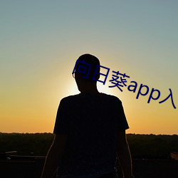 向日葵app入口网站