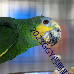 2023GGY钙男(男)男视(視)频