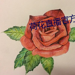 荷(hé)花直播官方