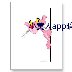 小黃人app暗部破解