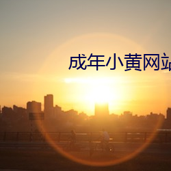 成年(nián)小黄网站在线看(kàn)