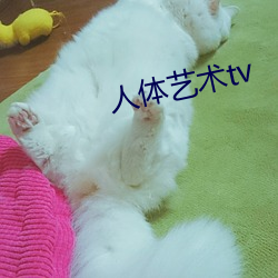 人(人)体(體)艺术tv