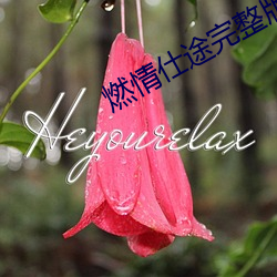 燃情仕途完整(整)版阅读(讀)丫丫(丫)