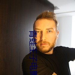 青蛙王子电影 （临锋决敌）