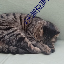天堂資源種子