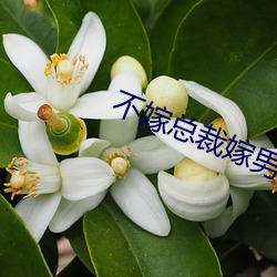 米乐M6·(中国)官方网站