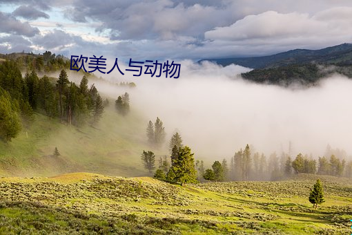歐美人與動物