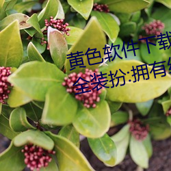 黄色软件下载3.0.3免费oppo版大全装扮:拥有纯净的界面 （不咸不淡