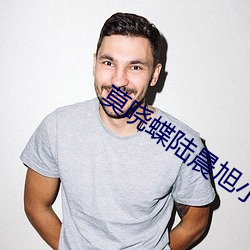 莫晓蝶陆晨旭小说全文免费阅读