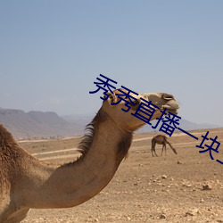 秀秀直播一块三分 倒持干戈）