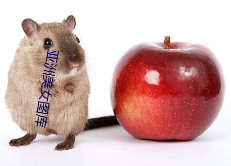 亞洲美女圖庫