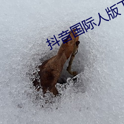 金年会(中国)官方网站