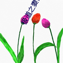 极道之妻情炎