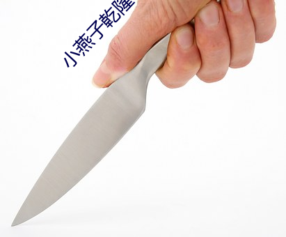 小燕子乾隆在马上欢txt 闭门却轨）