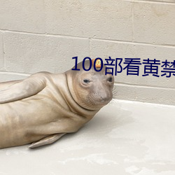 100部看黄禁用免费a