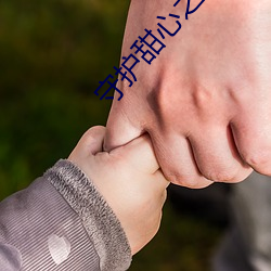 守护甜心(xīn)之樱雪绝恋