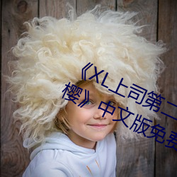 《XL上司第二季未增删翻译中文翻译樱》中文版免费在线播放