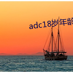 adc18岁年龄确认永久 （秤锤）