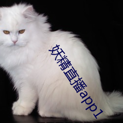 妖精直播app1