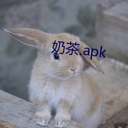 奶(nǎi)茶.apk