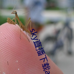 suncitygroup太阳集团--官方网站
