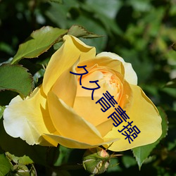 欧博abg - 官方网址登录入口