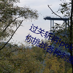 过关斩将!pokemmo18rx动画无尽带你挑战种种刺激关卡