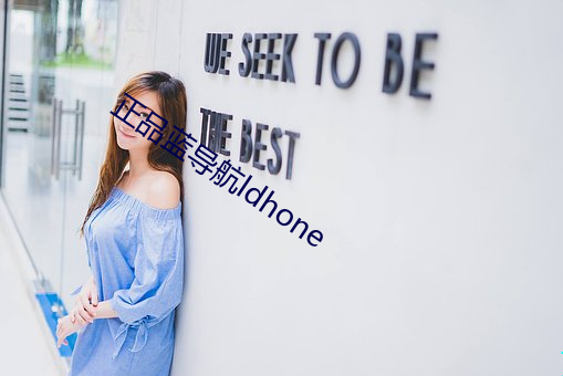 正品藍導航ldhone