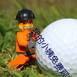 我的小姨免费观(gun)看