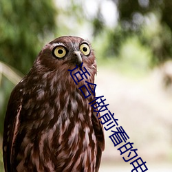 适合(合)做前看的电(電)影