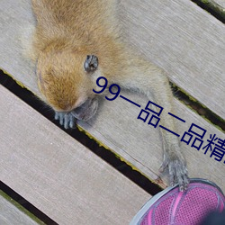 99一品二品精區在線
