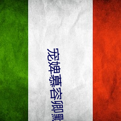 宠婢慕容卿默(mò)