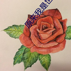 米乐M6·(中国)官方网站