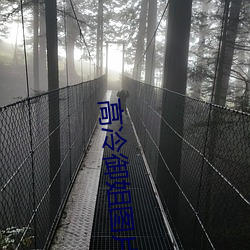 高冷禦姐圖片