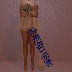 金瓶(瓶)梅(梅)1电(電)影(影)