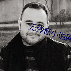 无弹窗小说网