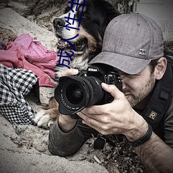 成人(人)性生交(交)大片免费看