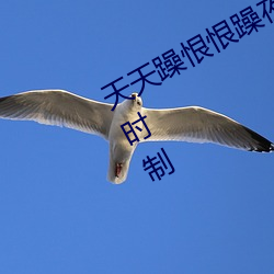 天天躁恨恨躁夜躁2020即将开启24小时制