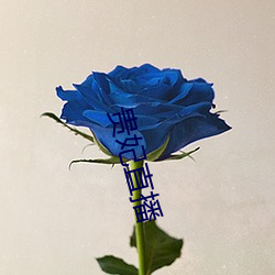 貴妃直播