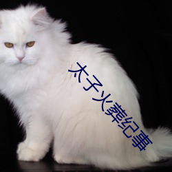 太子火(火)葬纪事(事)