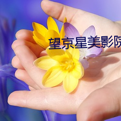 望京星美影院